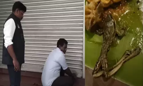 உணவில் தேரை- பூந்தமல்லியில் உள்ள பிரபல ஓட்டலுக்கு சீல்