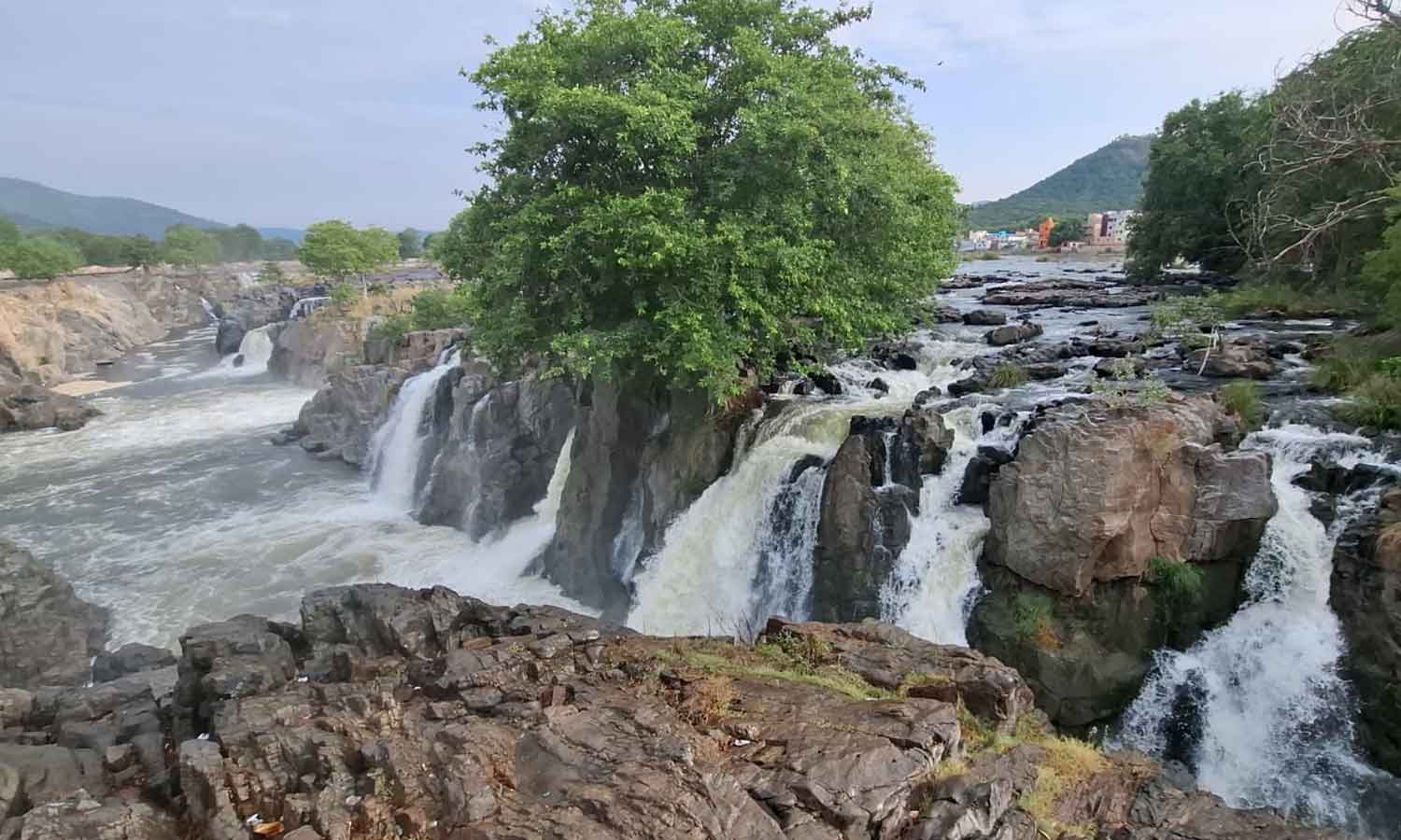 காவிரி நீர்பிடிப்பு பகுதியில் கனமழை: ஒகேனக்கல்லுக்கு நீர்வரத்து அதிகரிப்பு