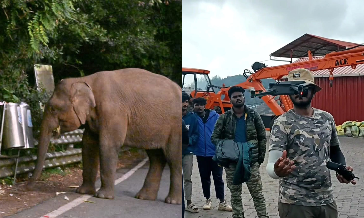 தொட்டபெட்டாவில் காட்டு யானையின் நடமாட்டம் டிரோன் மூலம் கண்காணிப்பு - சுற்றுலா பயணிகளுக்கு தடை