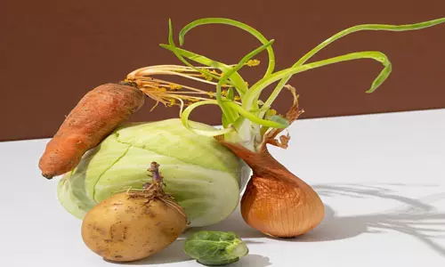 முளைக்கட்டிய காய்கறிகள் சாப்பிட்டா ஆபத்தாகிடும்? தெரிஞ்சிக்கலாம் வாங்க!