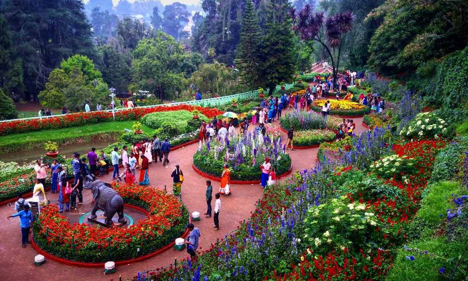 ஊட்டி மலர் கண்காட்சி 15-ந்தேதி தொடங்குகிறது