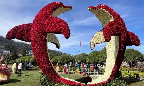 ஊட்டி ரோஜா கண்காட்சி தொடங்கியது: 20 ஆயிரம் பல வண்ண மலர்களால் வடிவமைக்கப்பட்ட டால்பின்கள் உருவம்