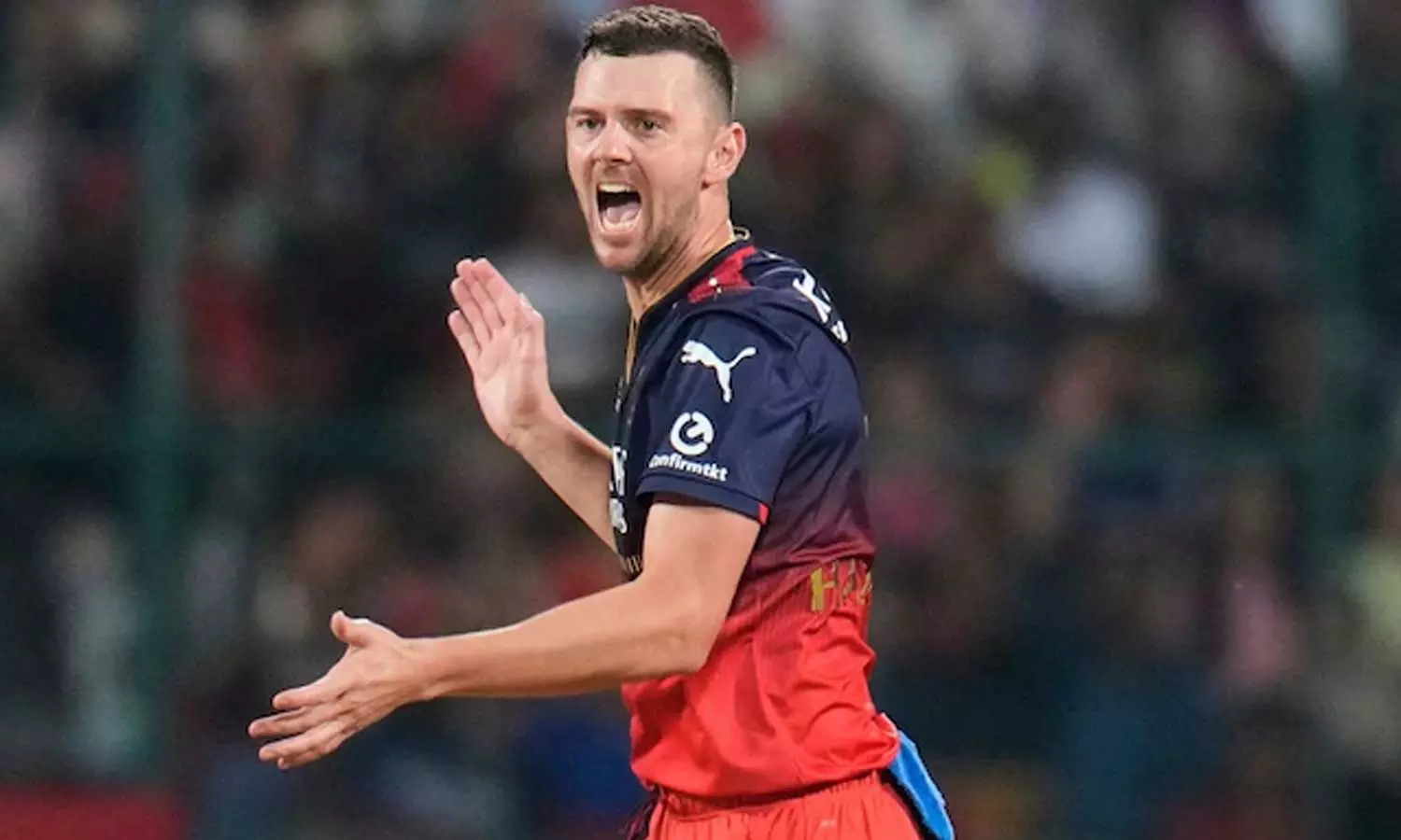 RCB அணிக்கு வந்த சோதனை... காயம் காரணமாக ஜோஷ் ஹேசில்வுட் விலகல்? RCB அணிக்கு வந்த சோதனை... காயம் காரணமாக ஜோஷ் ஹேசில்வுட் விலகல்?