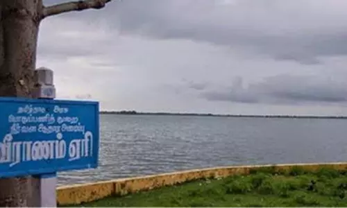 வெயிலின் தாக்கத்தால் குறைந்து வரும் வீராணம் ஏரி நீர்மட்டம் - சென்னைக்கு குடிநீர் அனுப்புவதில் சிக்கல்?