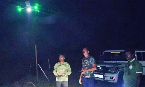 வனப்பகுதியில் இருந்து வெளியேறிய ஒற்றை யானையை டிரோன் மூலம் கண்காணிக்கும் வனத்துறையினர்