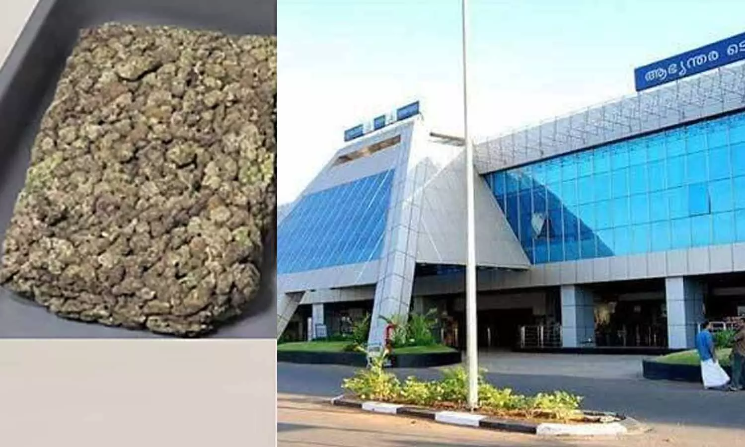 அபுதாபியில் இருந்து கேரளாவுக்கு விமானத்தில் கடத்திய ரூ.9 கோடி கஞ்சா பறிமுதல்- 2 பேர் கைது