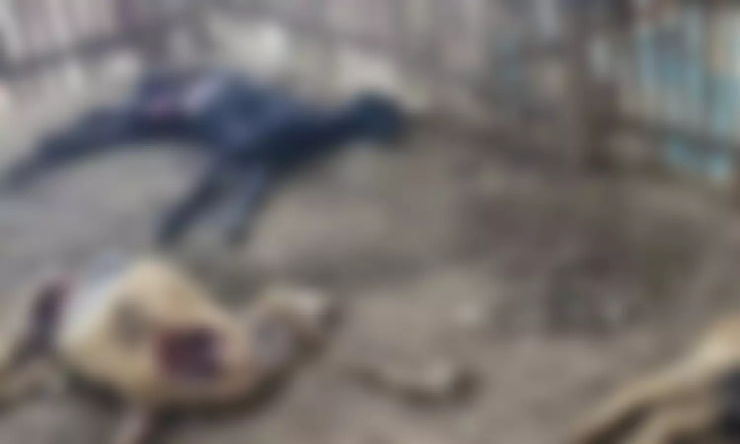 மர்ம விலங்கு கடித்து ஆடுகள் உயிரிழப்பு: மாவட்ட நிர்வாகம் நடவடிக்கை எடுக்குமா?- பொதுமக்கள் எதிர்பார்ப்பு