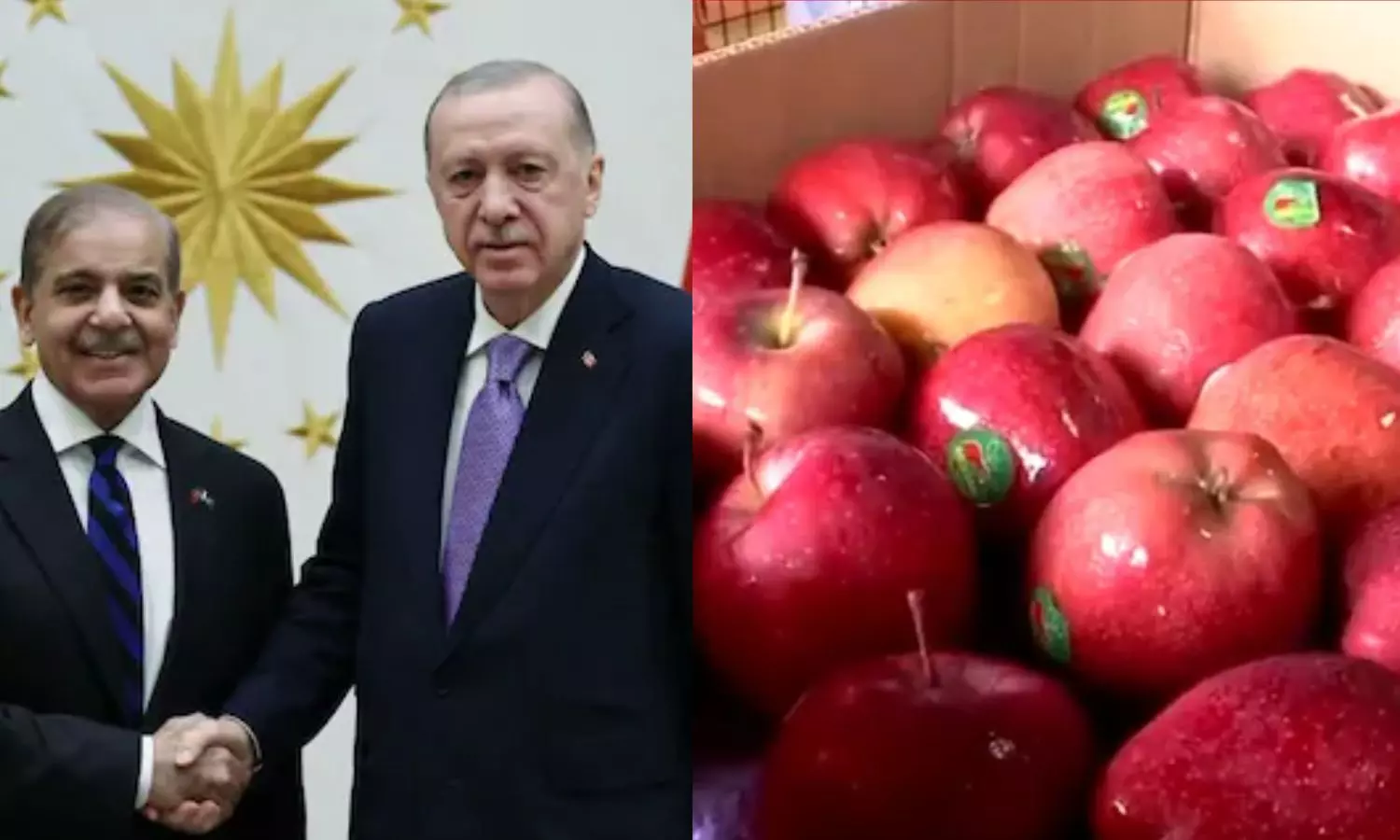 பாகிஸ்தான் ஆதரவு துருக்கிக்கு நாடு முழுவதும் எதிர்ப்பு அலை.. இறக்குமதியை புறக்கணித்த வியாபாரிகள்