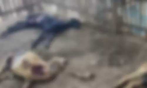 மர்ம விலங்கு கடித்து ஆடுகள் உயிரிழப்பு: மாவட்ட நிர்வாகம் நடவடிக்கை எடுக்குமா?- பொதுமக்கள் எதிர்பார்ப்பு