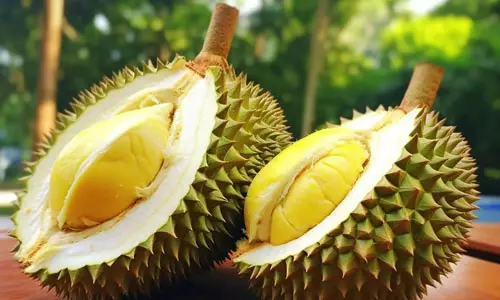 நோய் எதிர்ப்பு சக்தி அதிகரிக்கும் துரியன் பழம்