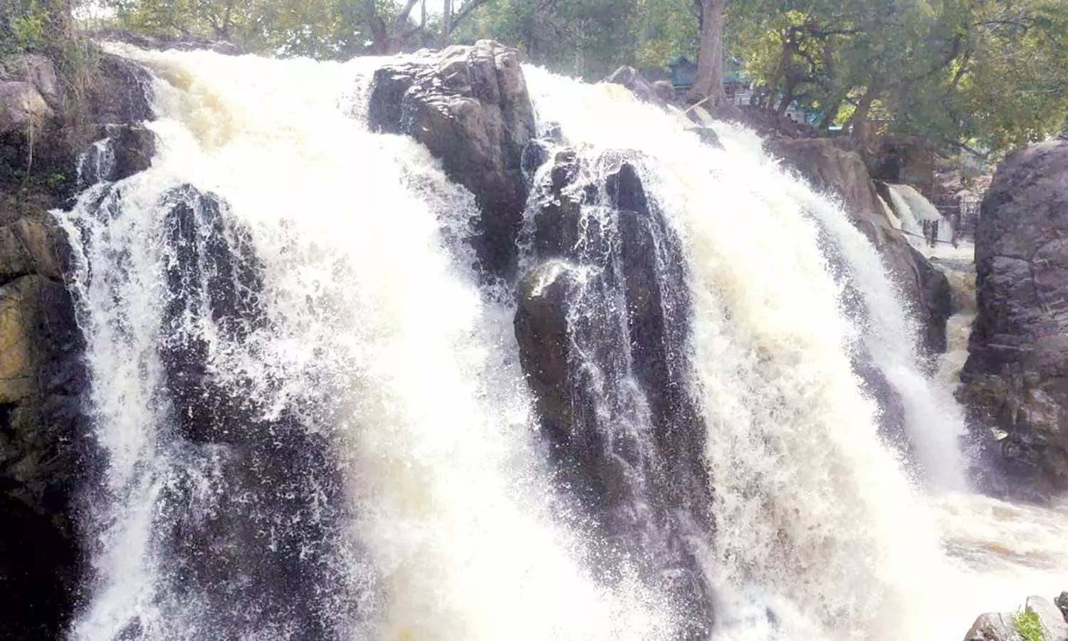 ஒகேனக்கல்லுக்கு நீர்வரத்து 5 ஆயிரம் கனஅடியாக அதிகரிப்பு ஒகேனக்கல்லுக்கு நீர்வரத்து 5 ஆயிரம் கனஅடியாக அதிகரிப்பு