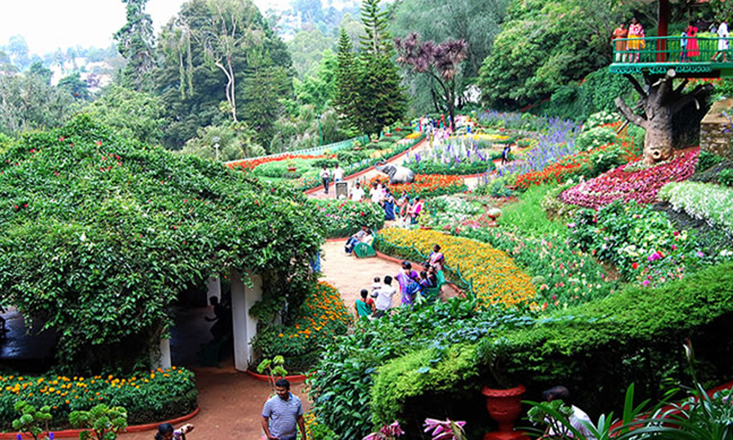 உதகை 127வது மலர் கண்காட்சி- இன்று ஒரே நாளில் 13,000 பேர் கண்டு ரசிப்பு