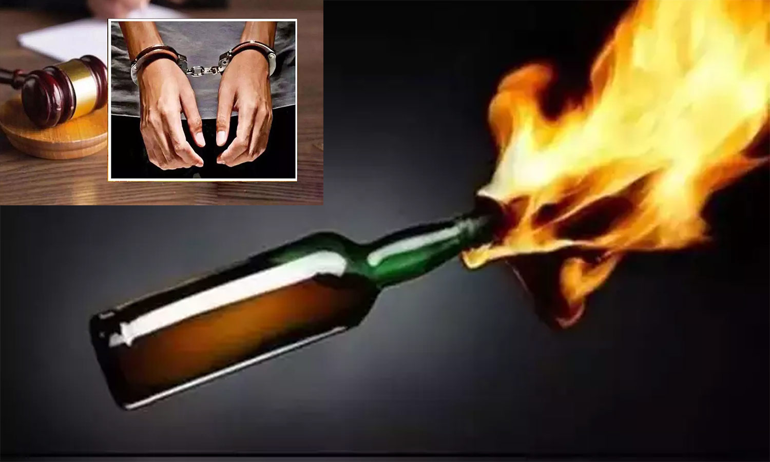 நெல்லையில் தி.மு.க. கவுன்சிலர் வீட்டில் பெட்ரோல் குண்டு வீசிய 3 வாலிபர்கள் கைது