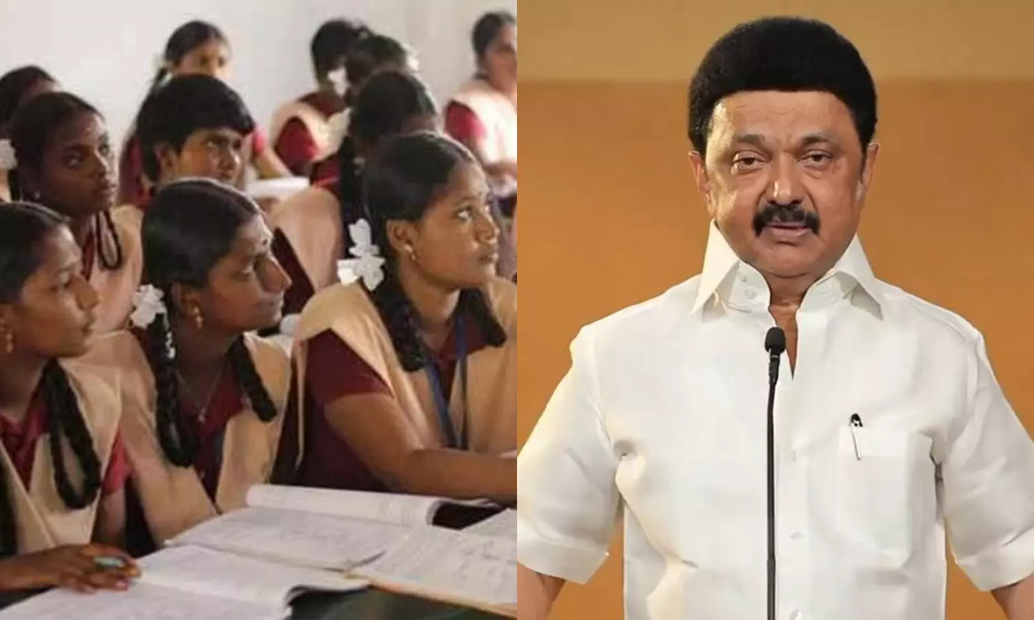 கல்வியை இறுகப் பற்றிக்கொண்டு முன்னேறுங்கள்! - மு.க.ஸ்டாலின் கல்வியை இறுகப் பற்றிக்கொண்டு முன்னேறுங்கள்! - மு.க.ஸ்டாலின்