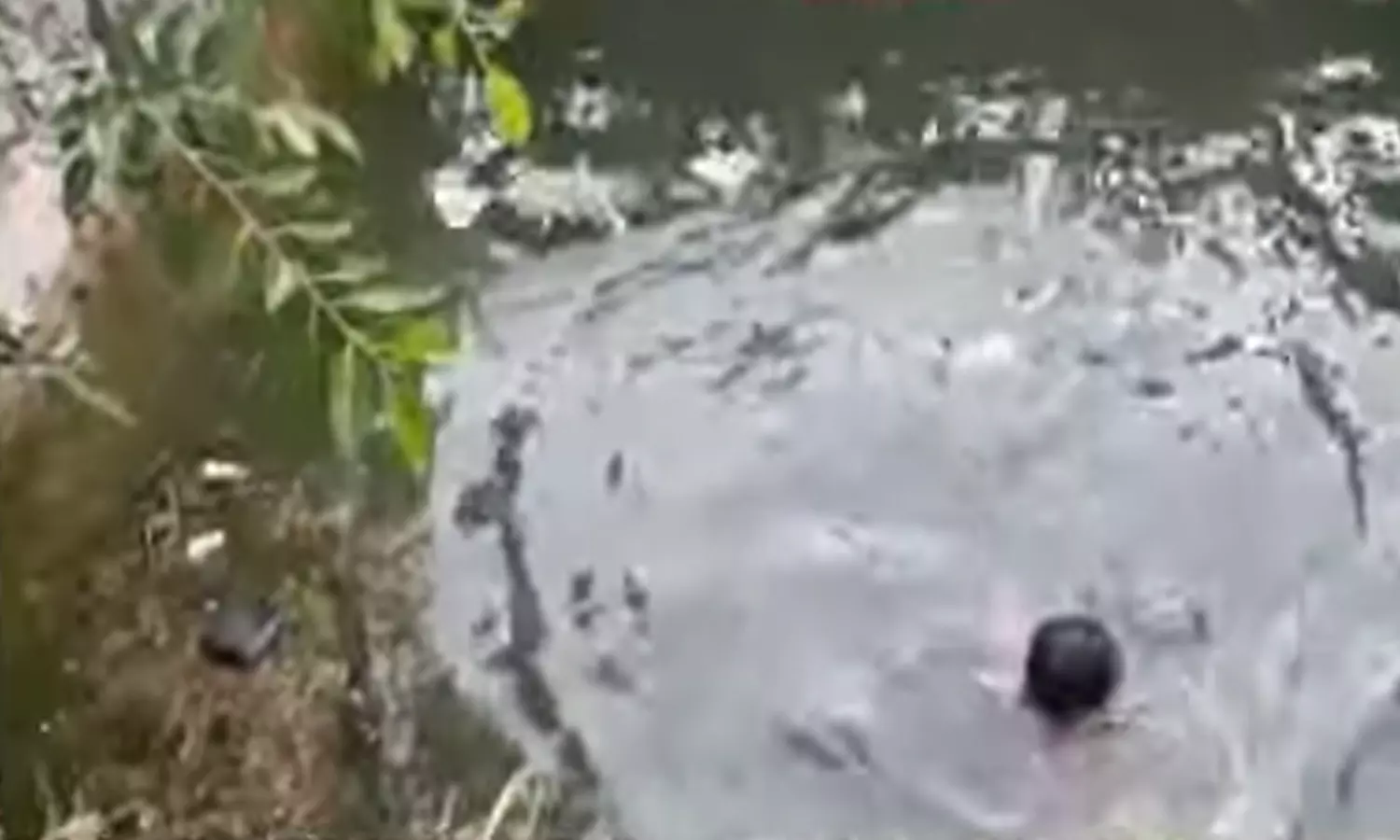 கிணற்றுக்குள் பாய்ந்த ஆம்னி வேன்: 5 பேரின் கதி என்ன?