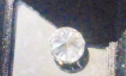 வடபழனி ஓட்டலில் கொள்ளை போன சம்பவம்: போலீசார் மீட்டு கொடுத்த வைரக்கல் போலியானது- வைர வியாபாரி புகார்