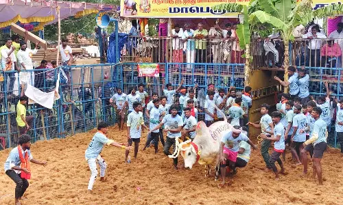 நத்தம் சொறிப்பாறைப்பட்டியில் ஜல்லிக்கட்டு போட்டியில் சீறிப்பாய்ந்த காளைகள்