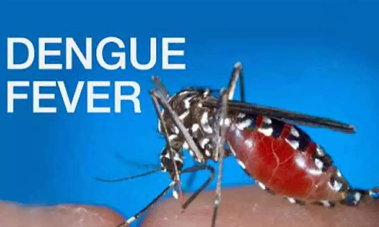 அந்தியூர் அருகே ஒரே கிராமத்தில் 4 பேருக்கு டெங்கு பாதிப்பு