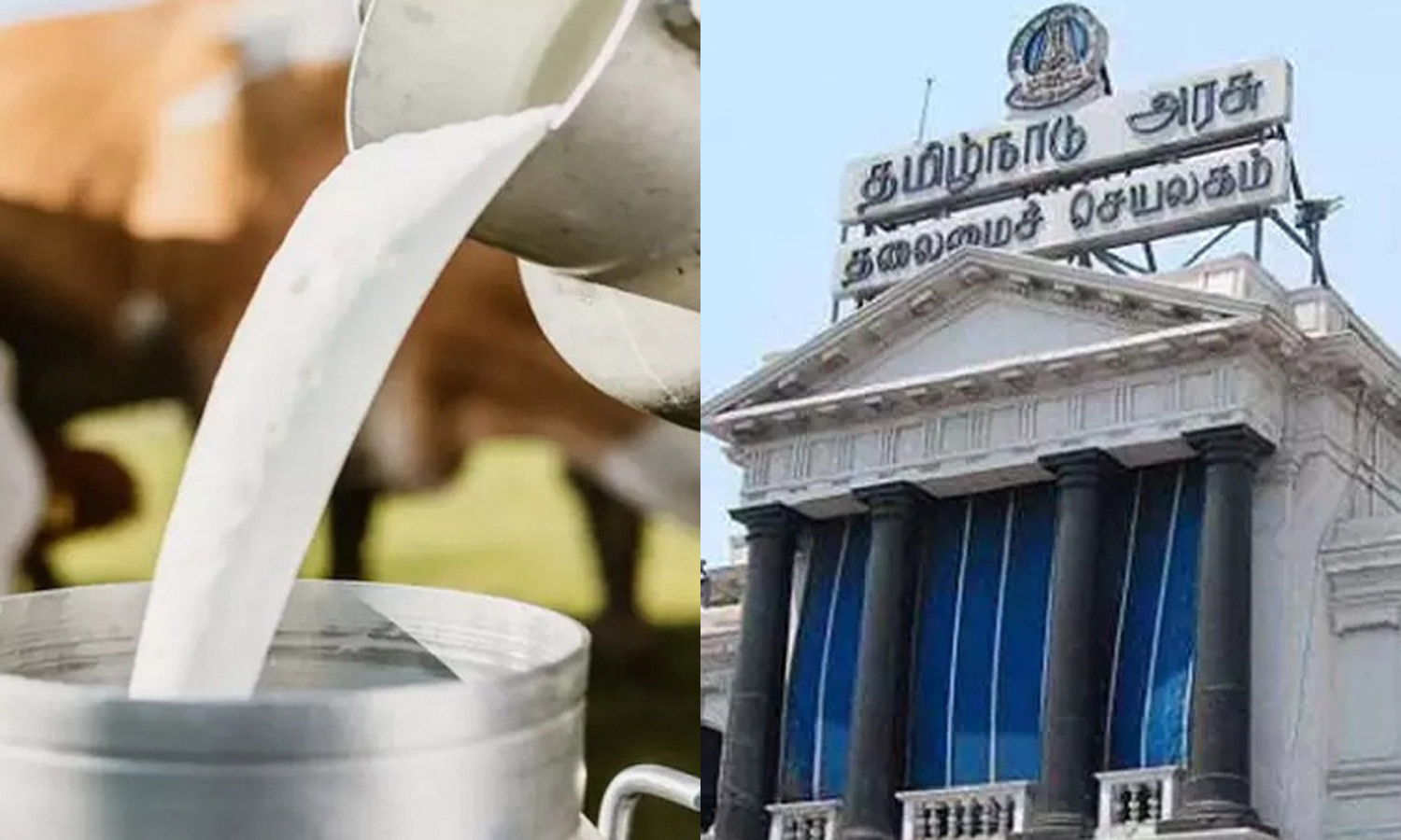 பால், மீன்வள செயல்பாட்டில் முன்னணி மாநிலம் - தமிழ்நாடு அரசு பெருமிதம்