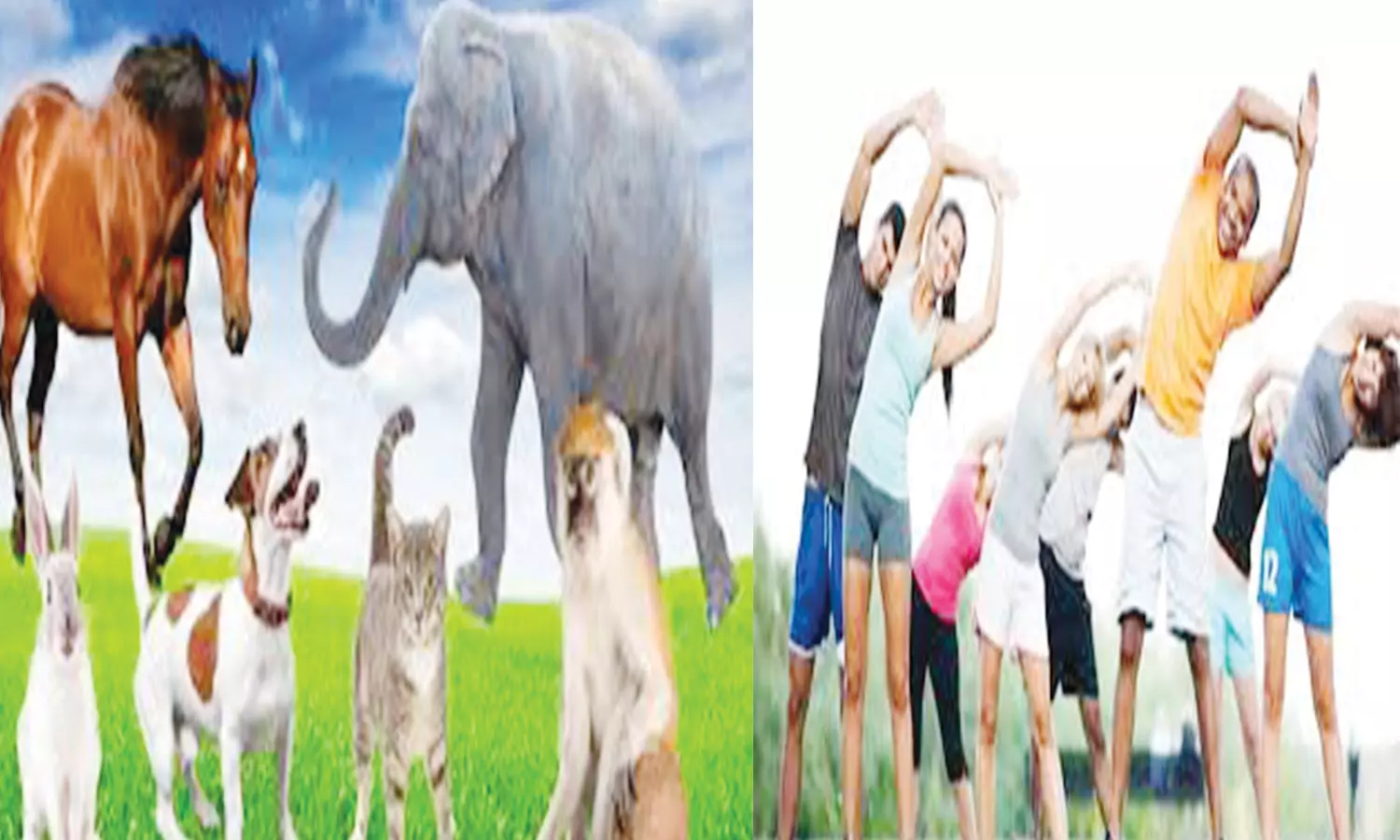 பெருமை பேசுவதை தவிர்த்திடுங்கள்! பெருமை பேசுவதை தவிர்த்திடுங்கள்!