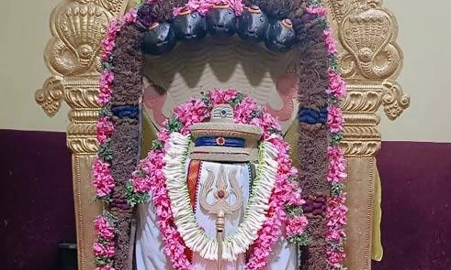 மலுமிச்சம்பட்டி நாகசக்தி தியான பீடத்தில் ராகு-கேது பெயர்ச்சி பூஜை