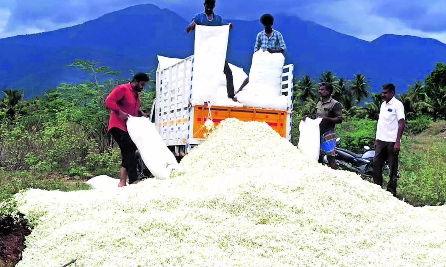 கிலோ ரூ.10-க்கு விற்பனை: 10 டன் சம்பங்கி பூக்களை ஓடையில் கொட்டிய விவசாயிகள்