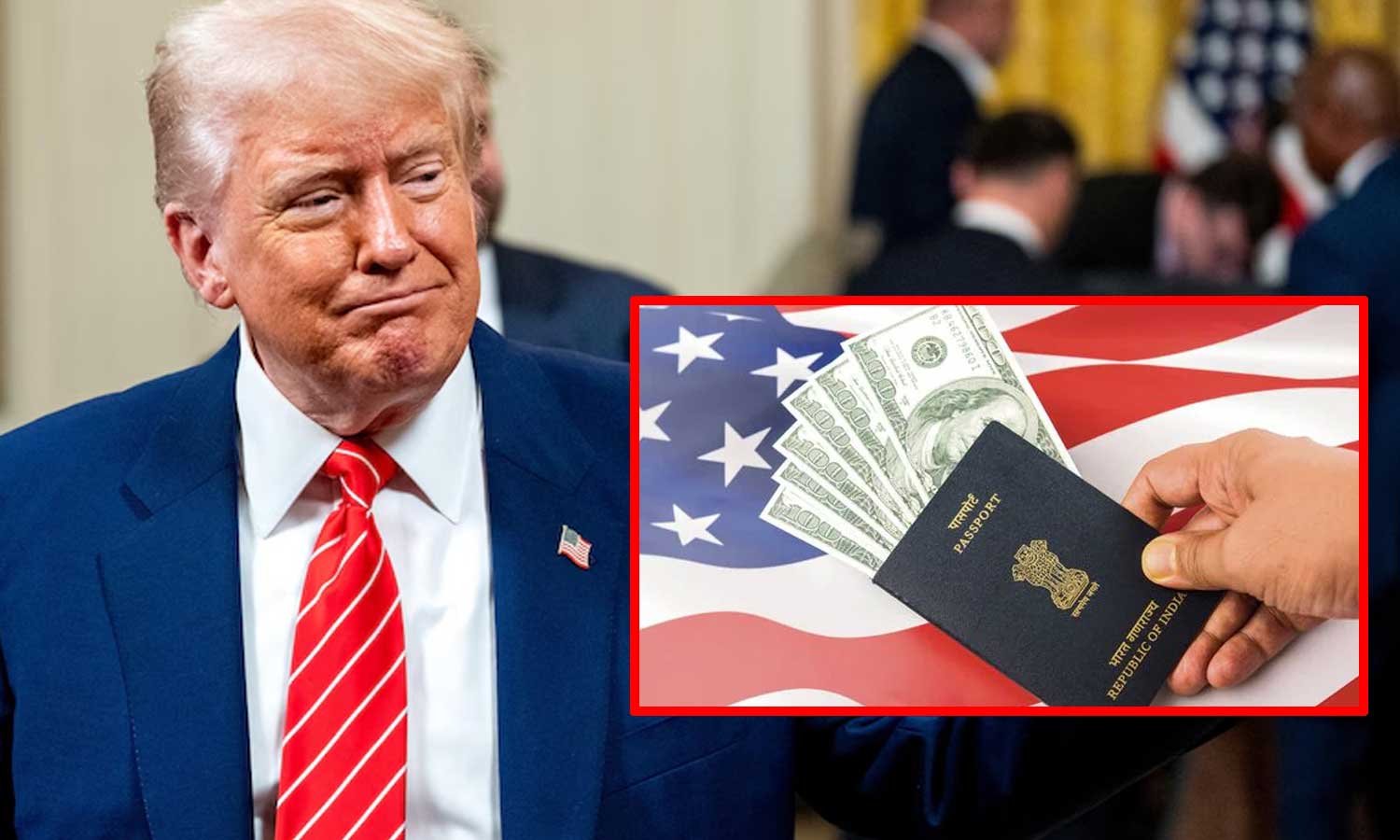 விசா முடிந்தும் வெளியேறாவிட்டால் நாடு கடத்தப்படுவீர்கள் - இந்தியர்களுக்கு அமெரிக்கா எச்சரிக்கை