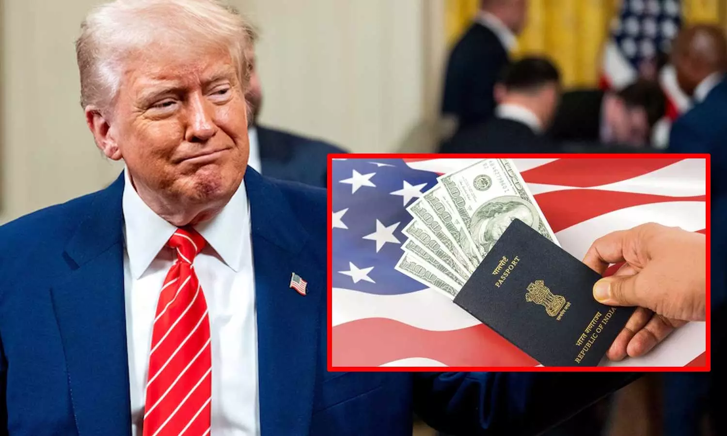 விசா முடிந்தும் வெளியேறாவிட்டால் நாடு கடத்தப்படுவீர்கள் - இந்தியர்களுக்கு அமெரிக்கா எச்சரிக்கை விசா முடிந்தும் வெளியேறாவிட்டால் நாடு கடத்தப்படுவீர்கள் - இந்தியர்களுக்கு அமெரிக்கா எச்சரிக்கை