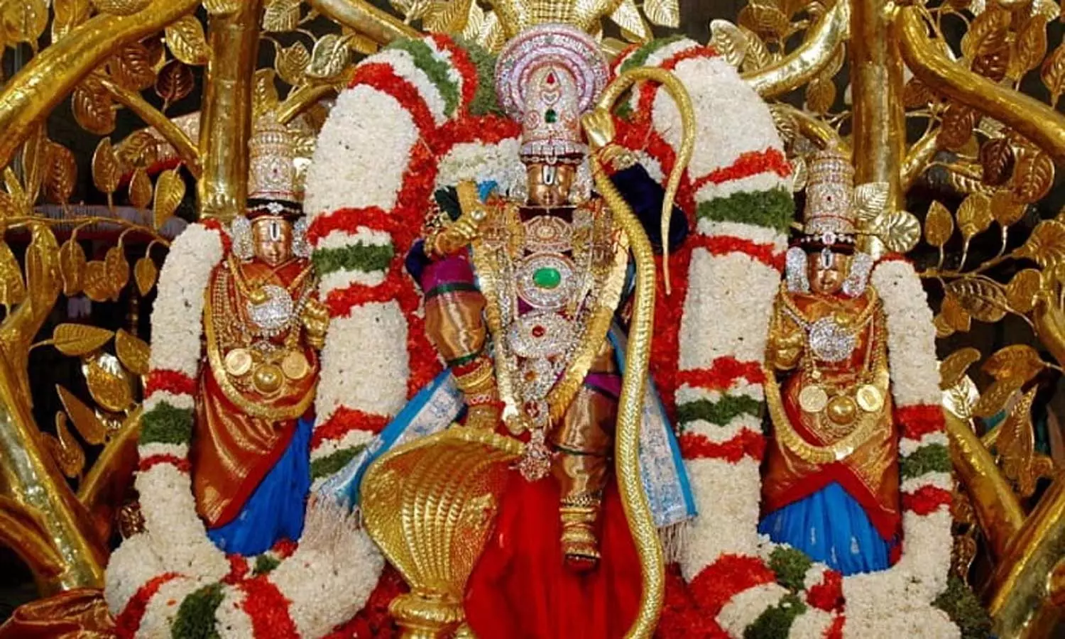 இந்த வார விசேஷங்கள் (20-5-2025 முதல் 26-5-2025 வரை) இந்த வார விசேஷங்கள் (20-5-2025 முதல் 26-5-2025 வரை)