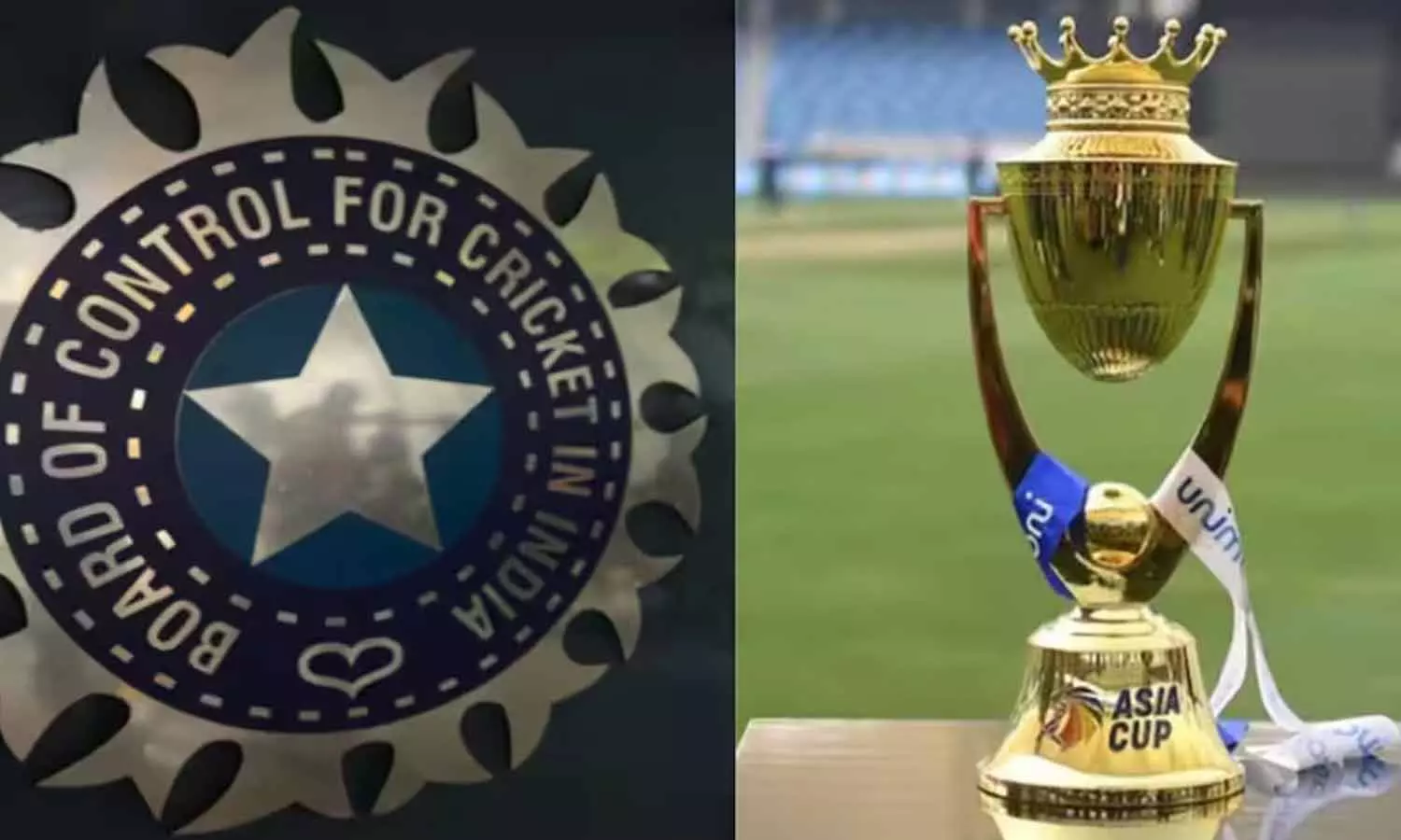 ஆசிய கோப்பை போட்டியில் இருந்து இந்தியா விலகலா? கிரிக்கெட் வாரியம் விளக்கம் ஆசிய கோப்பை போட்டியில் இருந்து இந்தியா விலகலா? கிரிக்கெட் வாரியம் விளக்கம்