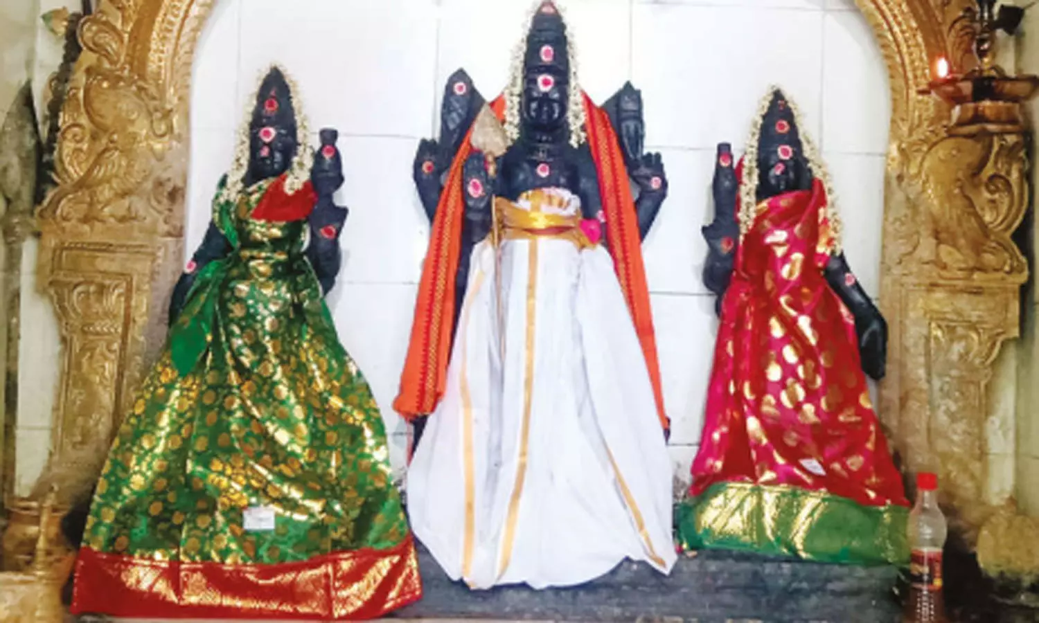 பேச்சுக் குறைபாடு நீக்கும் சேத்தியாதோப்பு பாலமுருகன்