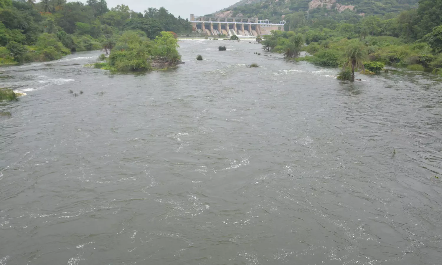 கிருஷ்ணகிரி கே.ஆர்.எஸ். அணையில் இருந்து நீர் திறப்பு 3571 கனஅடியாக குறைப்பு