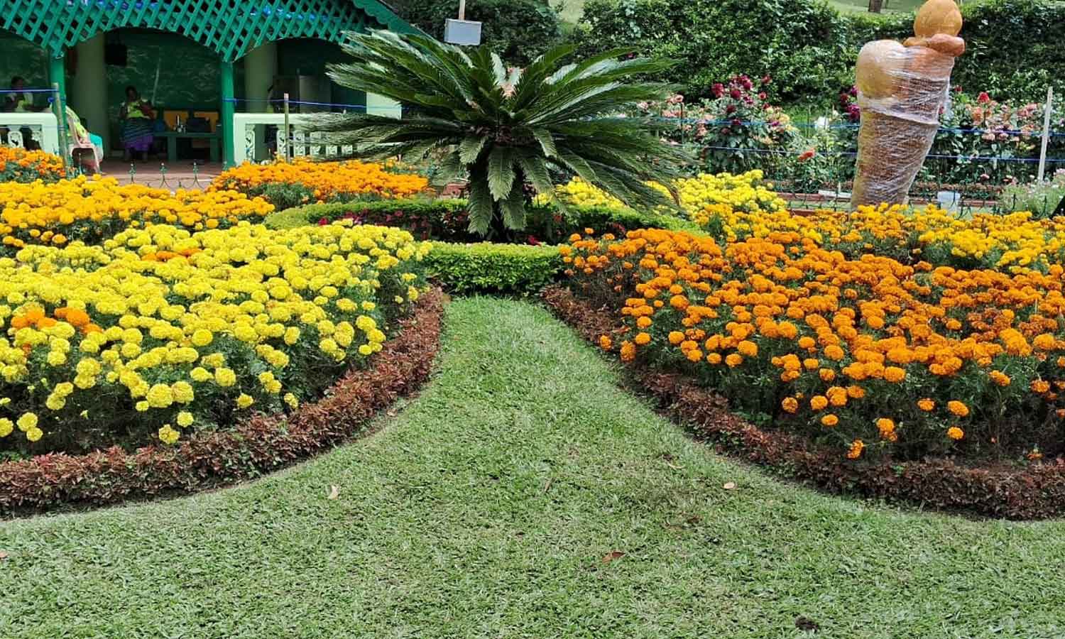 குன்னூர் சிம்ஸ் பூங்காவில் நாளை 65-வது பழக்கண்காட்சி தொடக்கம்