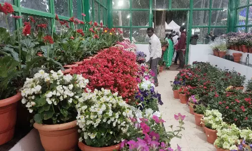 ஏற்காட்டில் 48-வது கோடை விழா - மலர் கண்காட்சி நாளை தொடக்கம்