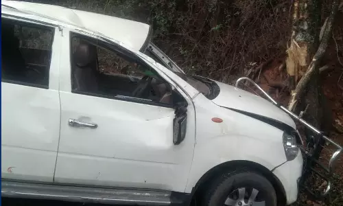 அ.தி.மு.க. முன்னாள் அமைச்சர் திண்டுக்கல் சீனிவாசன் பேத்தி விபத்தில் உயிரிழப்பு