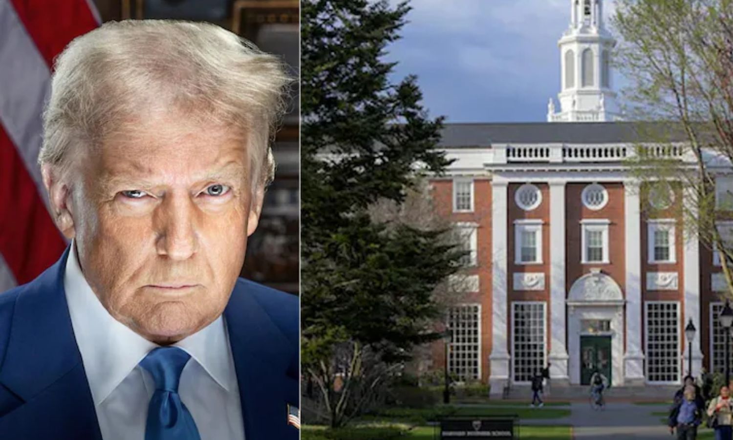 ஹார்வர்டு பல்கலைக்கழகத்தில் வெளிநாட்டு மாணவர்கள் படிக்க தடை -  அதிபர் டிரம்ப் அடாவடி