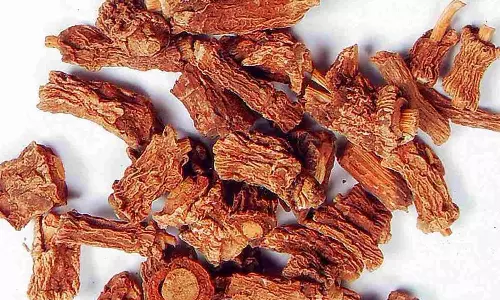 நன்னாரி வேரின் மருத்துவ குணங்கள்