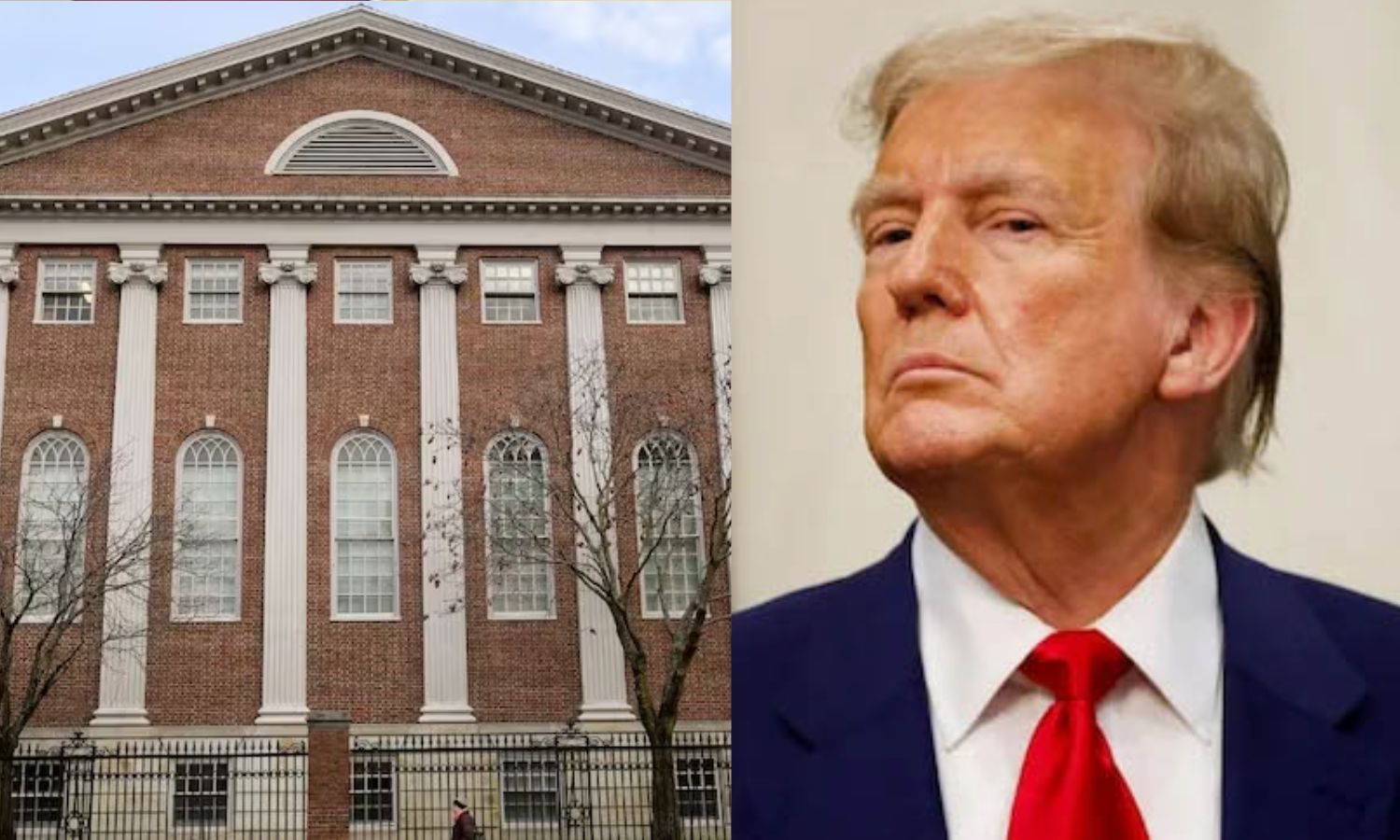 ஹார்வர்டு பல்கலை.யில் வெளிநாட்டினர் படிக்க தடை.. டிரம்ப் உத்தரவை தற்காலிகமாக நிறுத்திய நீதிமன்றம்