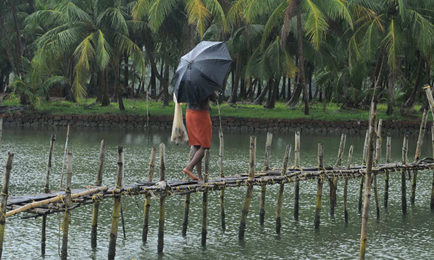கேரளாவில் 8 நாட்களுக்கு முன்பாகவே தென்மேற்கு பருவமழை தொடங்கியது கேரளாவில் 8 நாட்களுக்கு முன்பாகவே தென்மேற்கு பருவமழை தொடங்கியது