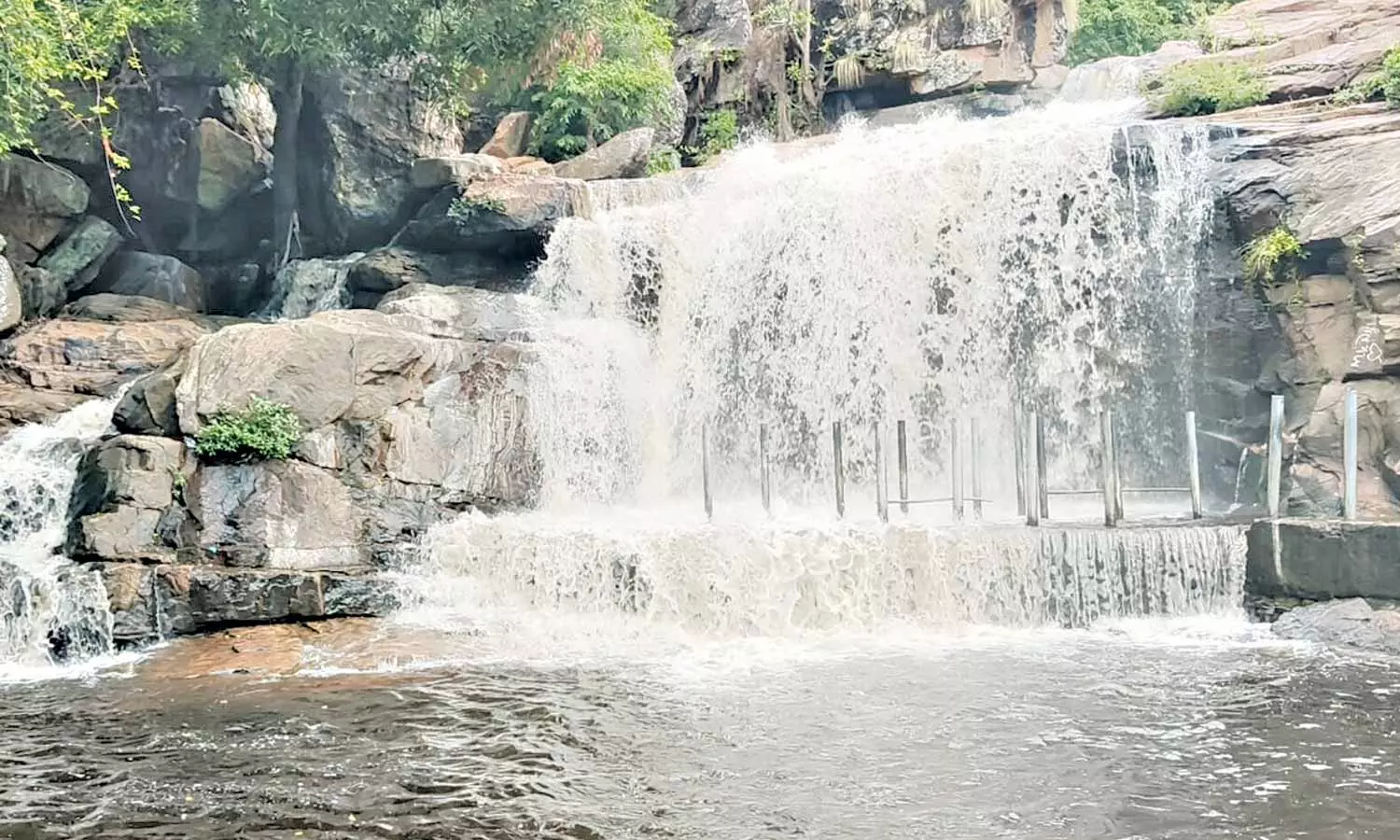 உடுமலை பஞ்சலிங்க அருவியில் சுற்றுலா பயணிகள் குளிக்க தடை உடுமலை பஞ்சலிங்க அருவியில் சுற்றுலா பயணிகள் குளிக்க தடை