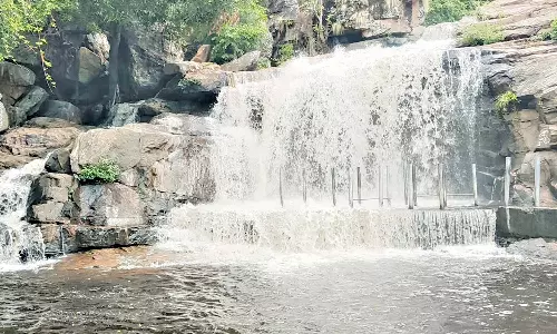 உடுமலை பஞ்சலிங்க அருவியில் சுற்றுலா பயணிகள் குளிக்க தடை