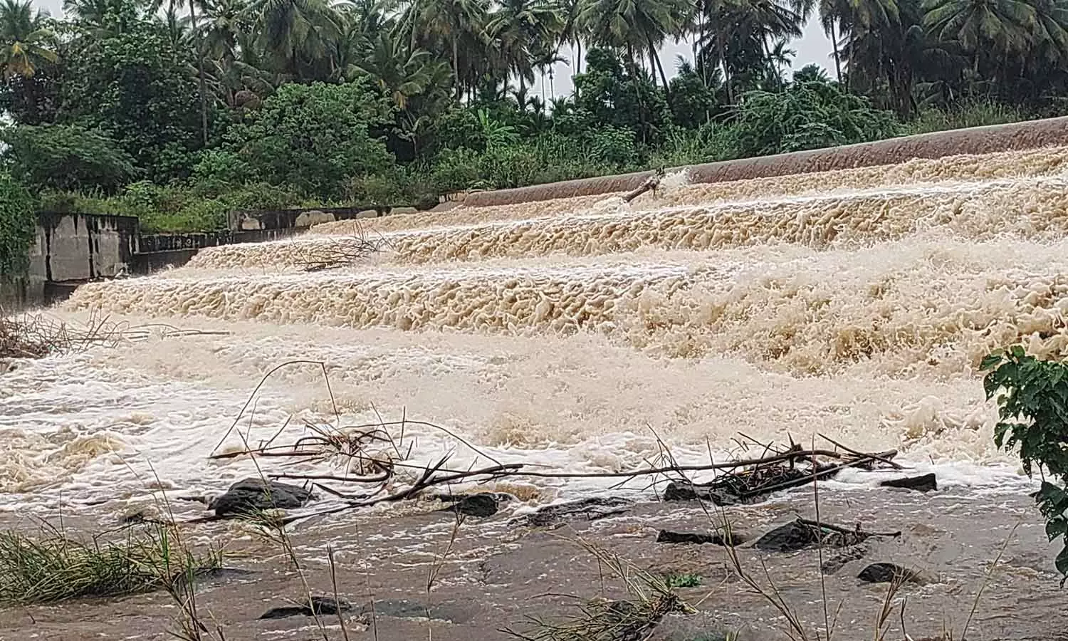 கோவையில் கனமழை நீடிப்பு: ஆறுகளில் வெள்ளப்பெருக்கு- பொதுமக்களுக்கு எச்சரிக்கை