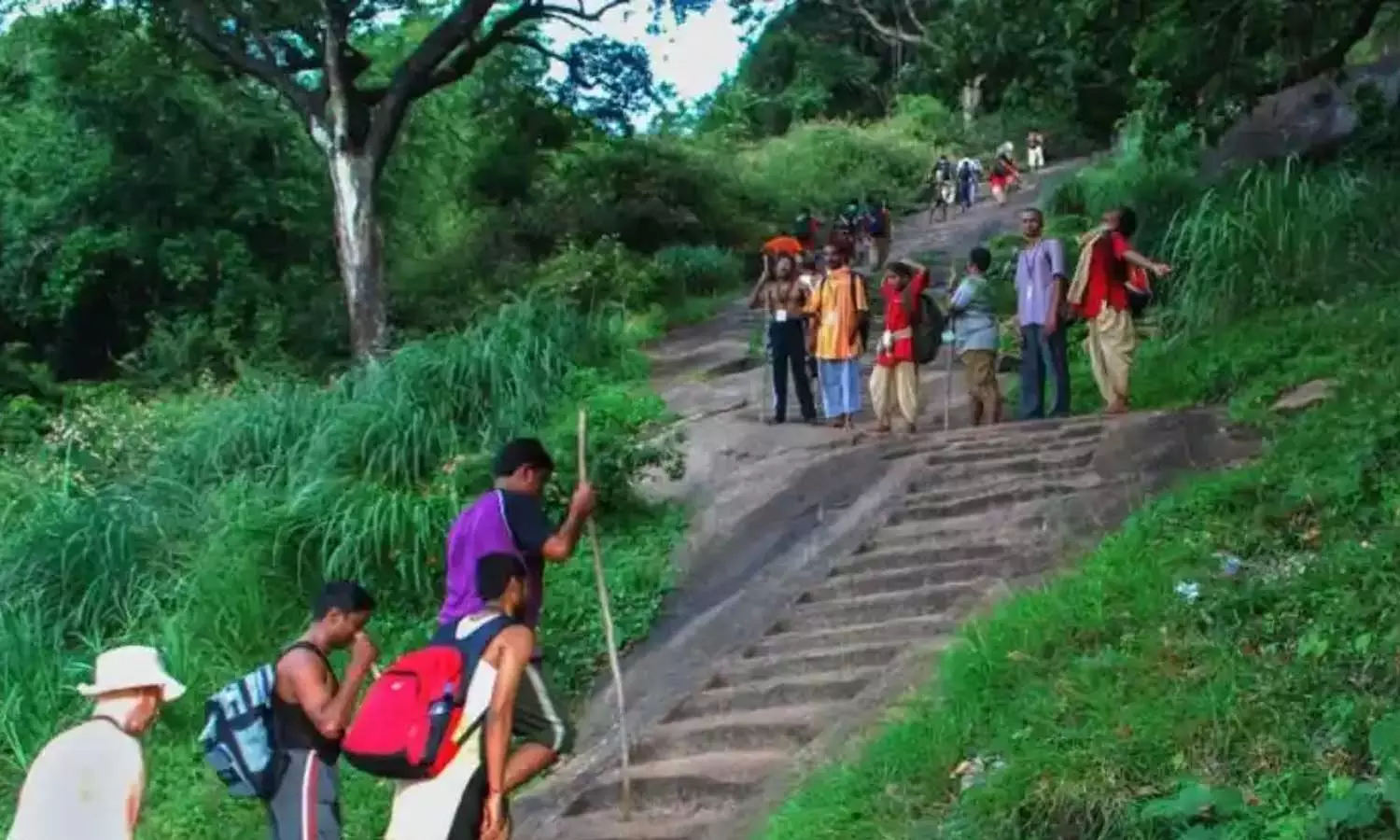 வெள்ளியங்கிரி மலை ஏறிய 2 பக்தர்கள் உயிரிழப்பு வெள்ளியங்கிரி மலை ஏறிய 2 பக்தர்கள் உயிரிழப்பு