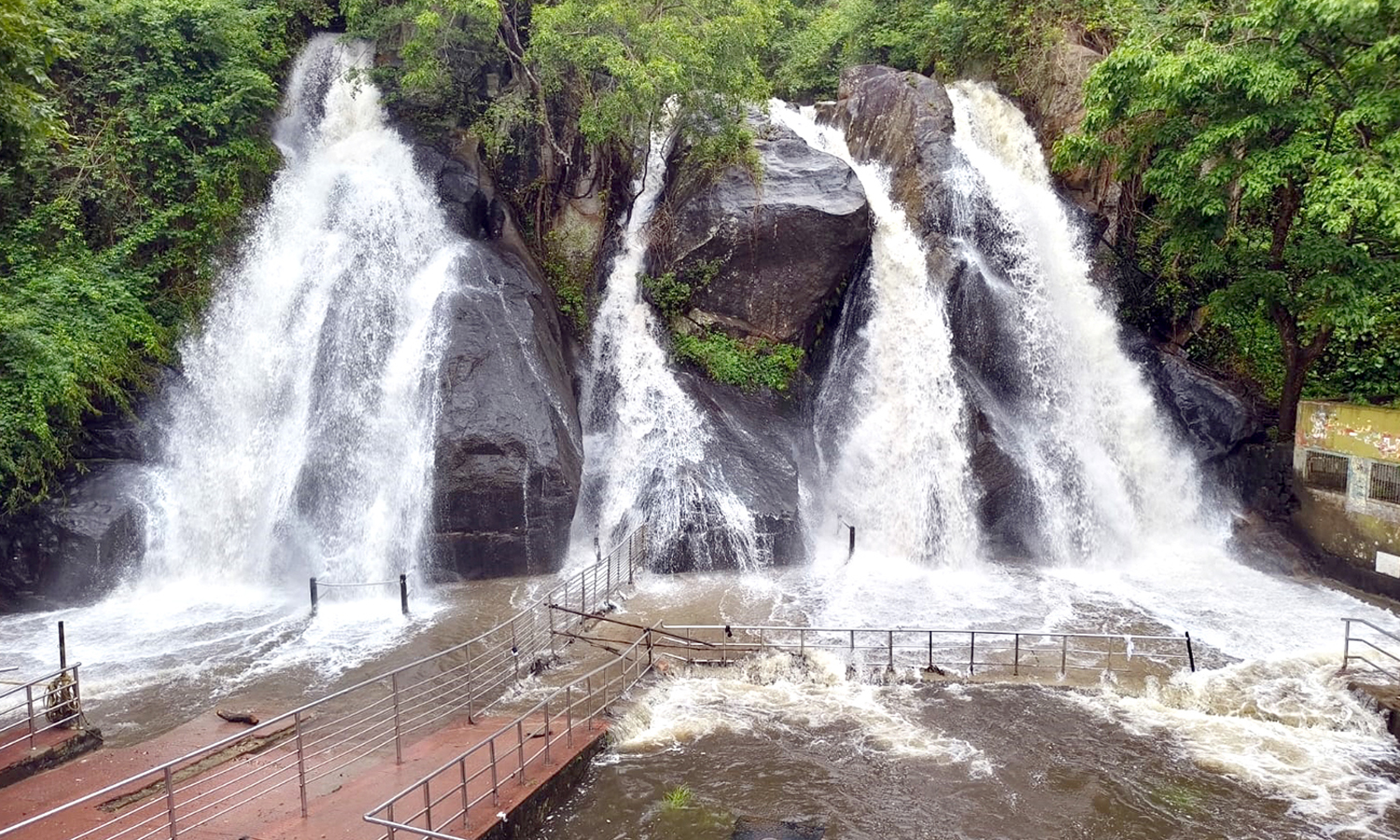 குற்றாலத்தில் அனைத்து அருவிகளிலும் சுற்றுலா பயணிகள் குளிக்க தடை