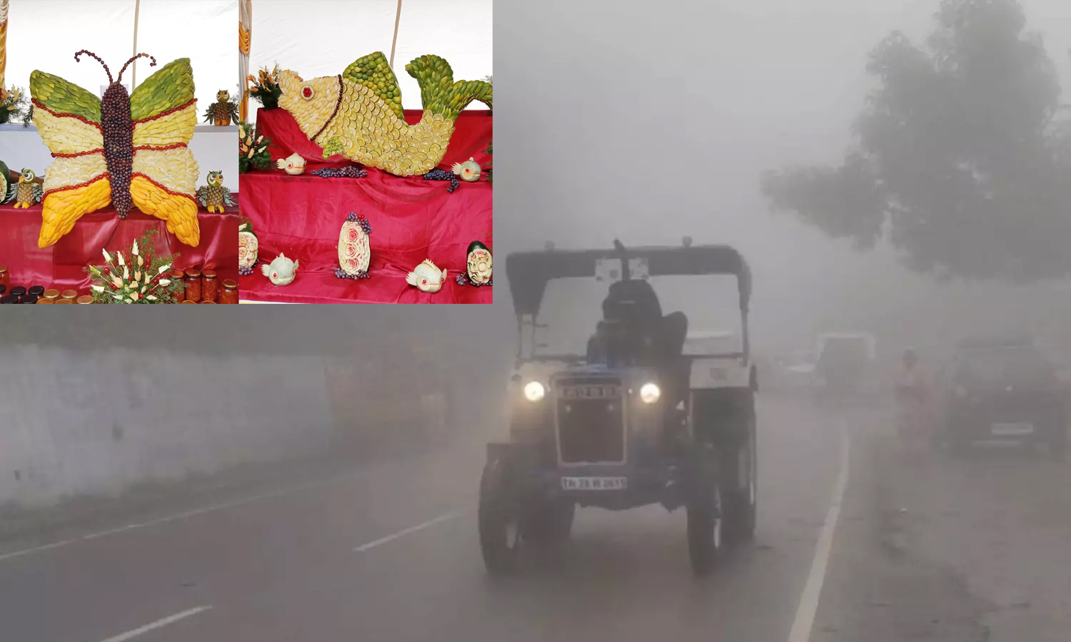 ஊட்டியில் மலர் கண்காட்சி நிறைவு: குன்னூரில் பழக்கண்காட்சி இன்று ரத்து