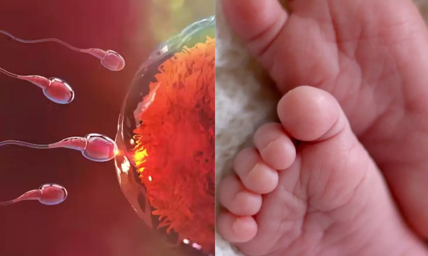 ஒரே நபரின் விந்தணுவில் பிறந்த 67 குழந்தைகள்.. பலருக்கு புற்றுநோய் பாதிப்பு - அதிர்ச்சி சம்பவம்! ஒரே நபரின் விந்தணுவில் பிறந்த 67 குழந்தைகள்.. பலருக்கு புற்றுநோய் பாதிப்பு - அதிர்ச்சி சம்பவம்!