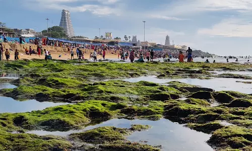 திருச்செந்தூர் கடல் 60 அடி உள்வாங்கியது