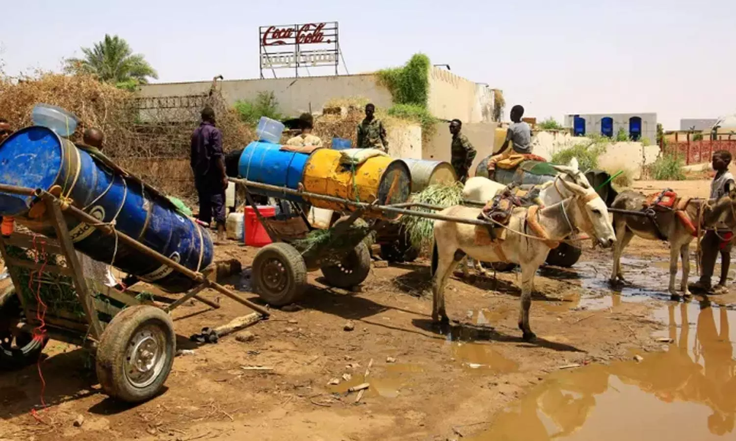 காலரா நோய் பாதிப்பு: சூடானில் ஒரே வாரத்தில் 172 பேர் பலி