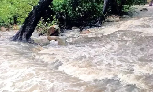 மேற்கு தொடர்ச்சி மலையில் கனமழை: களக்காடு தலையணையில் குளிக்க தடை