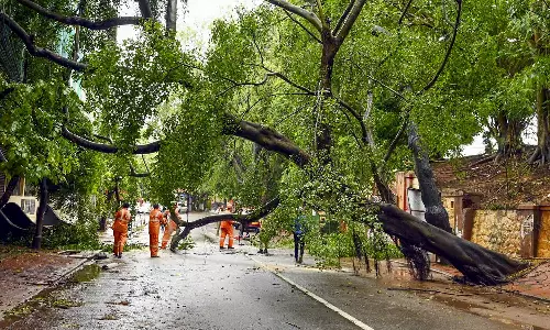 பலத்த காற்றுடன் கனமழை - கேரளாவில் 12 ஆயிரத்துக்கும் மேற்பட்ட மின்கம்பங்கள் முறிந்து விழுந்தன